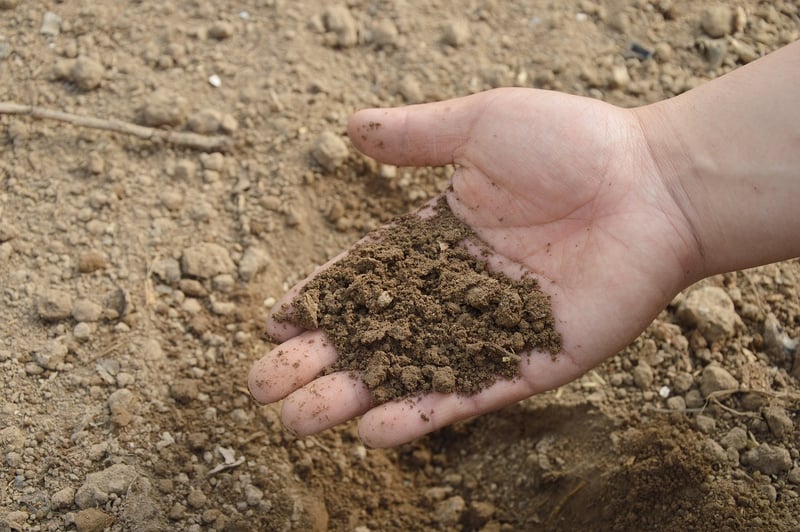 Organic Fertilizer Brands