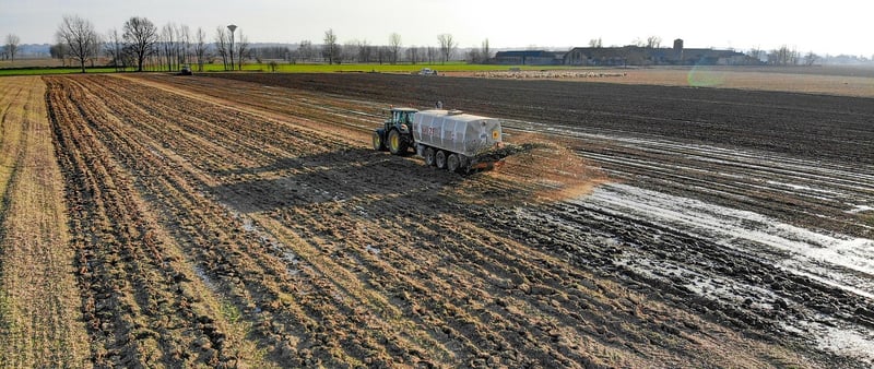 Organic fertilizer