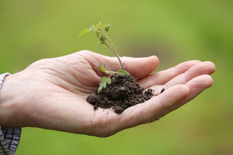 Container Gardening