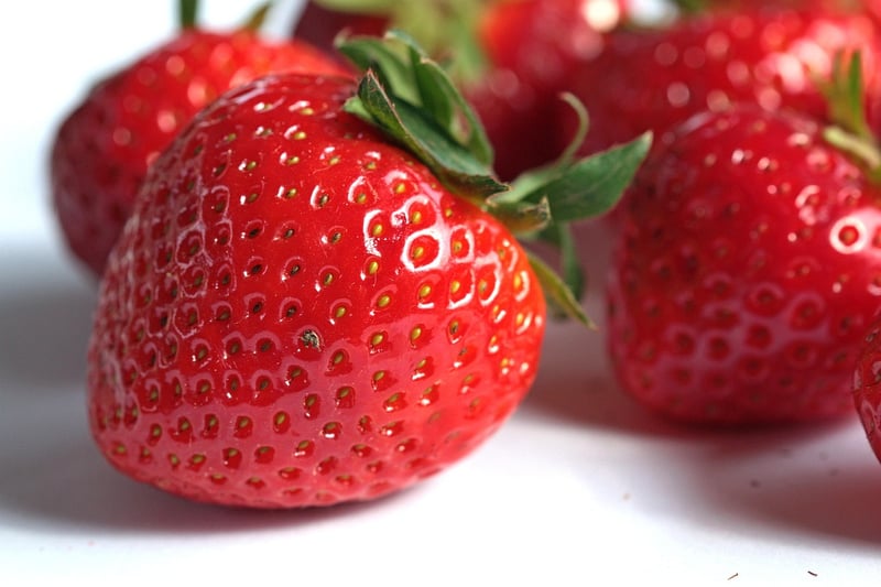 Vertical Strawberry Planter